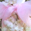 Photo of a pink bow with flowers